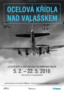 ocelova-kridla-nad-valasskem-2016-01-26_invitationw6h12